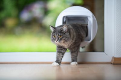 Electronic Pet Door - Home Automation Racine, Wisconsin