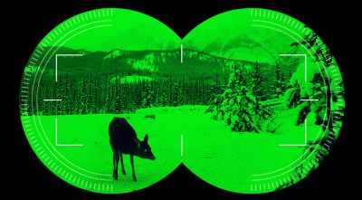 Night Vision Camera